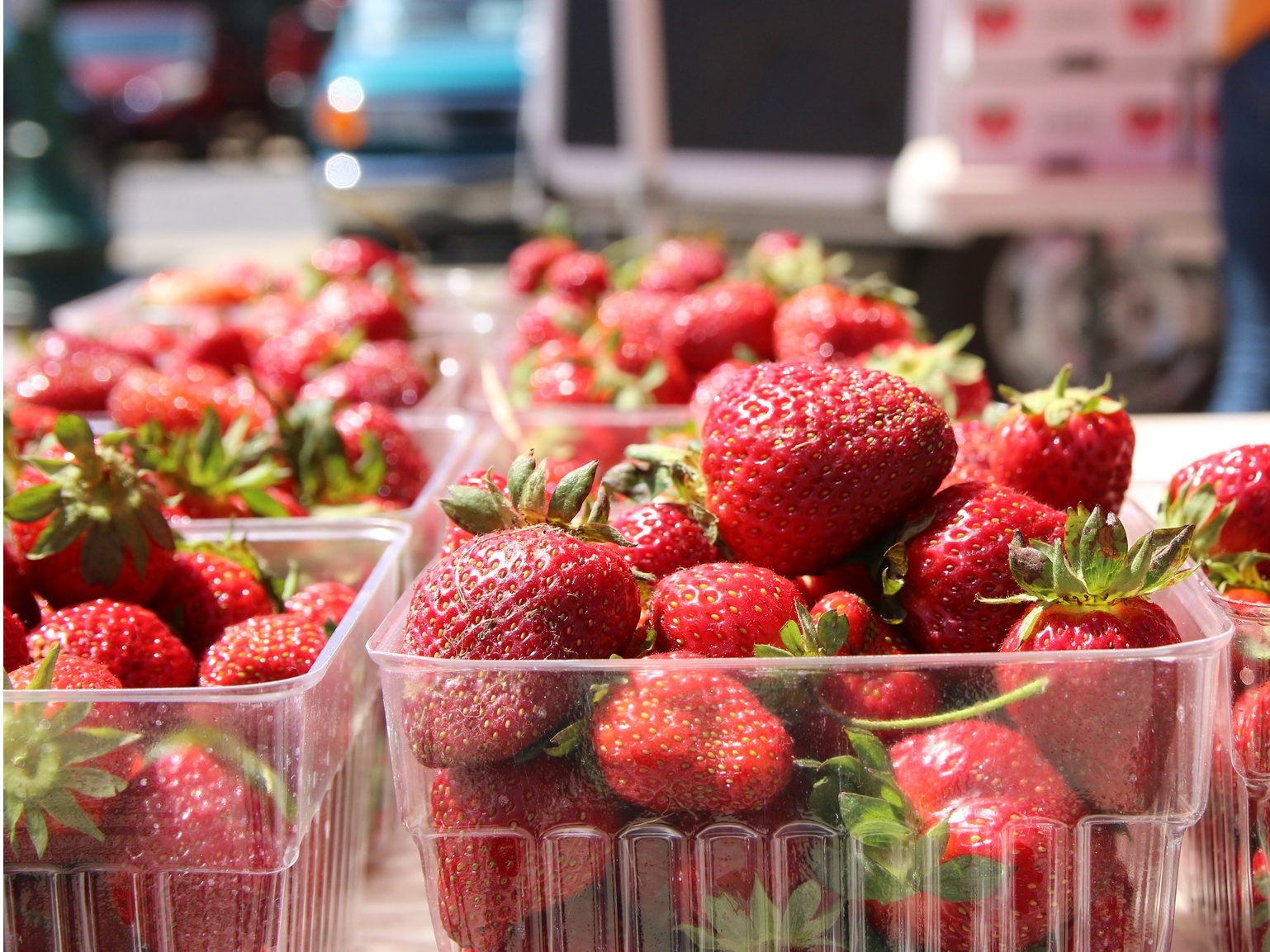 Vine Street Market Strawberry Festival